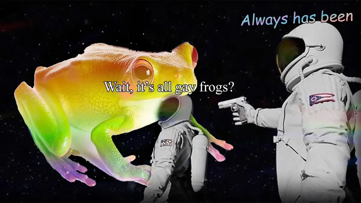 A rainbow-colored frog floats in space, looking surprised as it asks, 'Wait, it's all gay frogs?' while an astronaut in a…