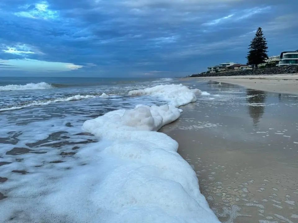 a beach scene with waves rolling in, creating thick white foam along the shoreline under a cloudy sky; houses and a pine…