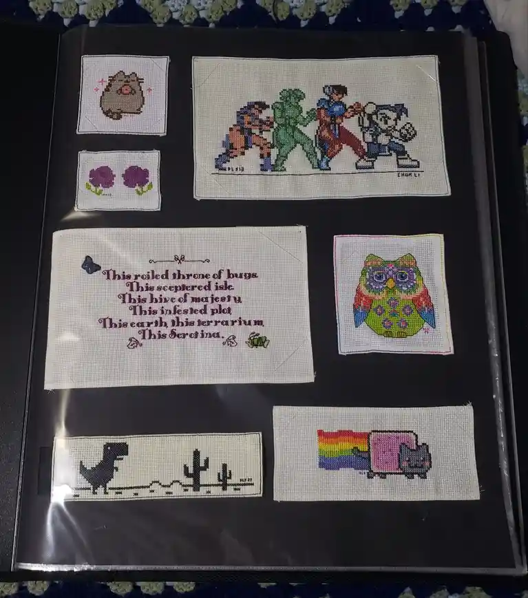 A collection of small cross-stitch pieces displayed in a binder, featuring pixel art of characters like Chun Li and Nyan…