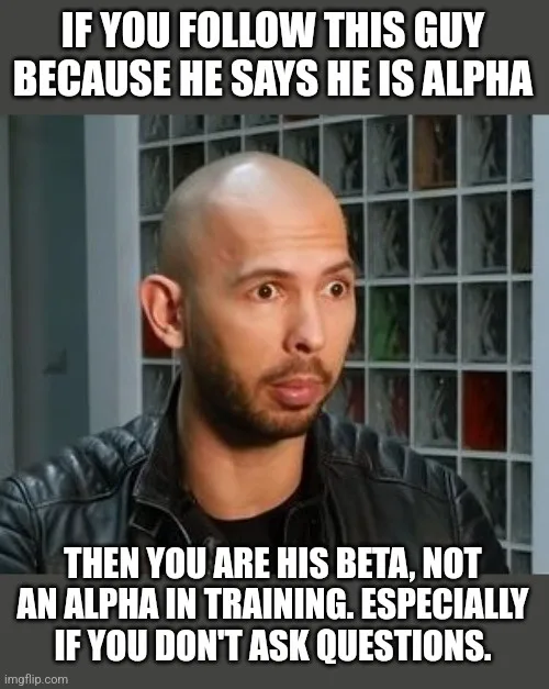 You’re Not an Alpha, Little Buddy