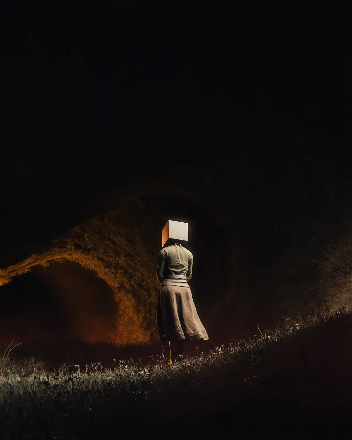 A person viewed from behind stands in a dark, grassy field, wearing a long, muted-colored robe and a glowing cube for a…