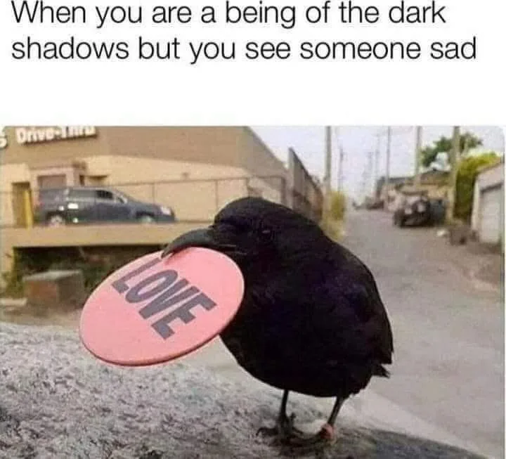 A black crow stands on a concrete surface holding a pink circular sign that reads 'LOVE' in bold black letters. The bird is…