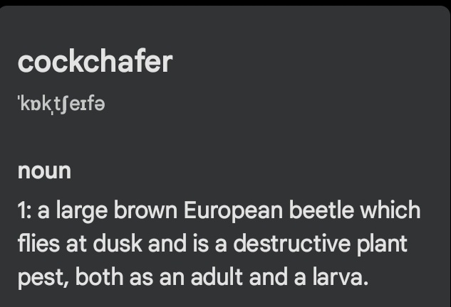 The image displays a dictionary definition for the word 'cockchafer' on a dark gray background with white text. The…