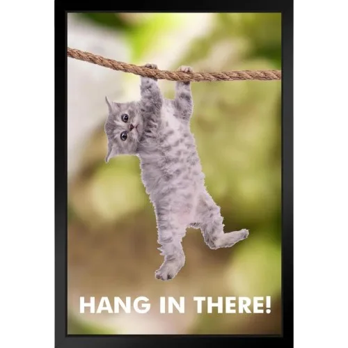 A small gray kitten hangs upside down from a thick rope with its paws gripping the rope, looking directly at the viewer. The…
