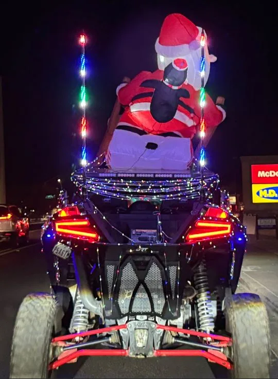 Some folks take their Christmas decorations to a whole new level!