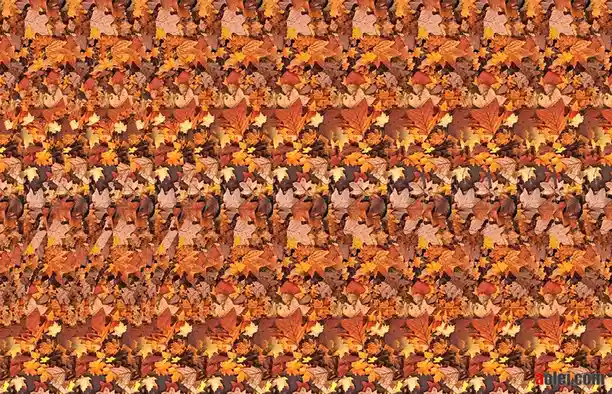 The image shows a dense, repeating pattern of autumn leaves in shades of orange, red, and brown, arranged in horizontal…