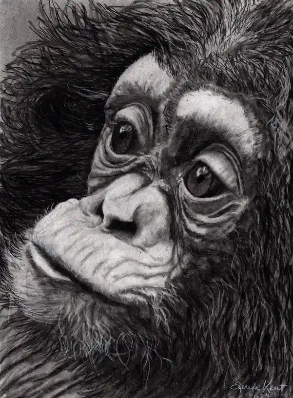A Captivating Illustration That Speaks Volumes