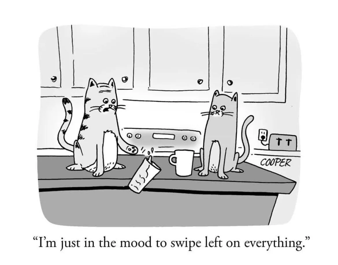 Two cartoon cats sit on a kitchen counter; one has spilled a mug, the other looks on. The spilled mug is labeled 'COOPER'…