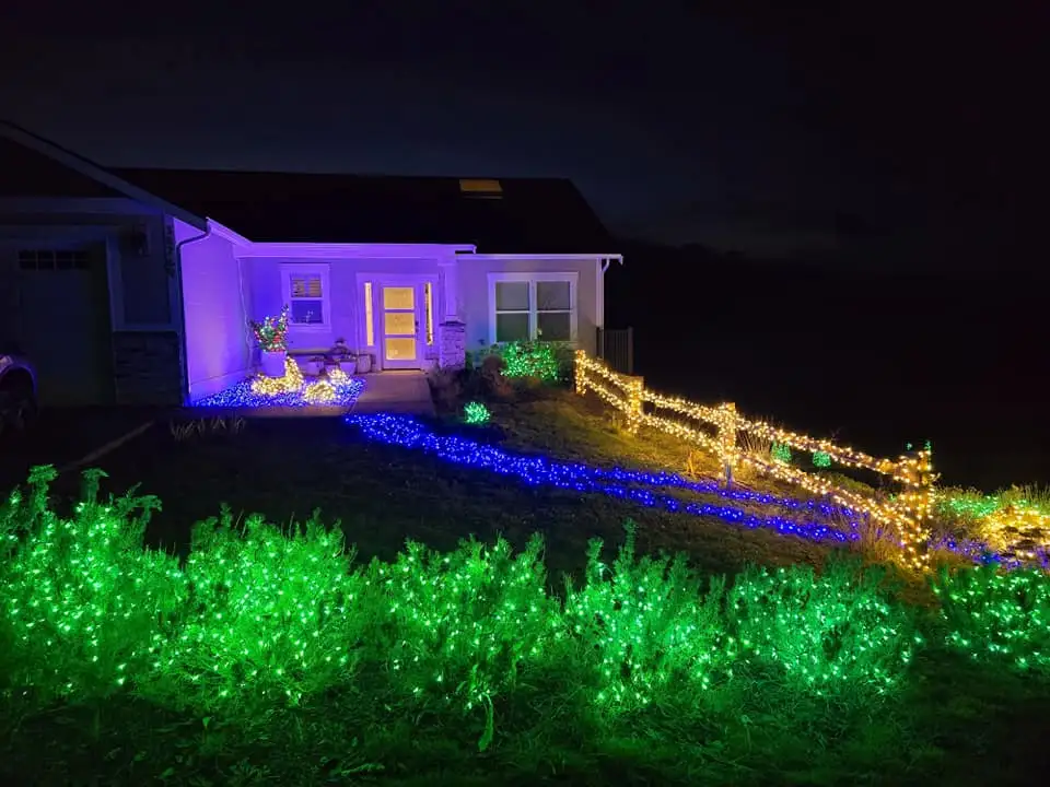 A nighttime photo of a house decorated with colorful Christmas lights: green lights cover bushes in the foreground, blue…