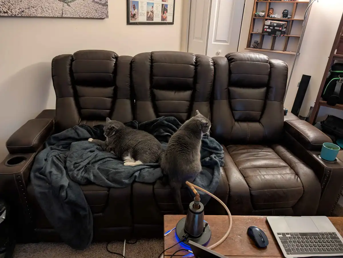 Two gray cats are on a brown leather recliner sofa; one is lying down on a dark blue blanket while the other sits upright…