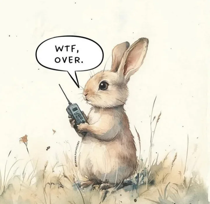 A watercolor-style illustration of a small, light brown rabbit standing in grass, holding a handheld two-way radio. A speech…