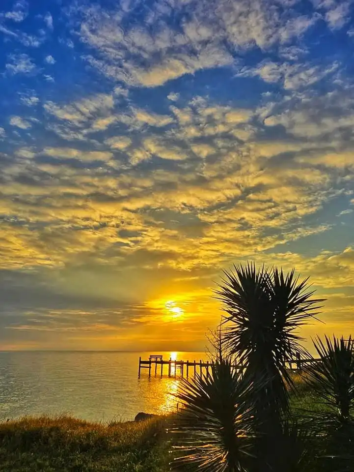 A serene sunset over the ocean with a wooden pier extending into the water, framed by silhouetted palm-like plants in the…