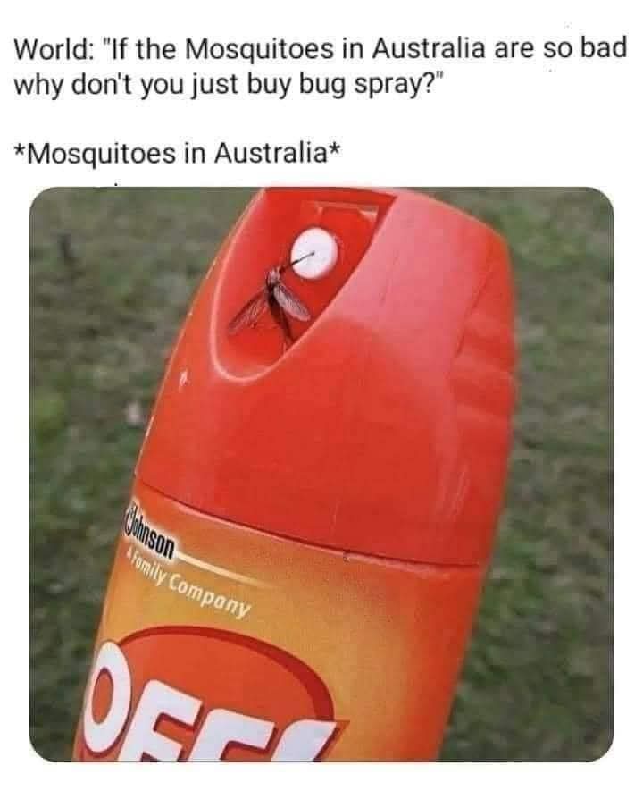 A close-up photo shows a dead mosquito stuck to the nozzle of a red and orange OFF! brand bug spray can. The text above the…