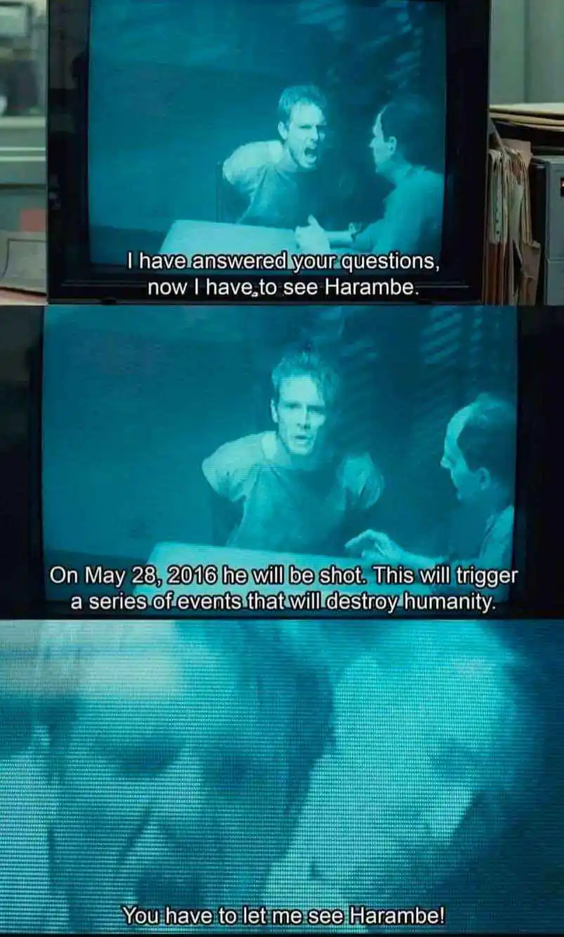 Let Me Out! The Struggle is Real