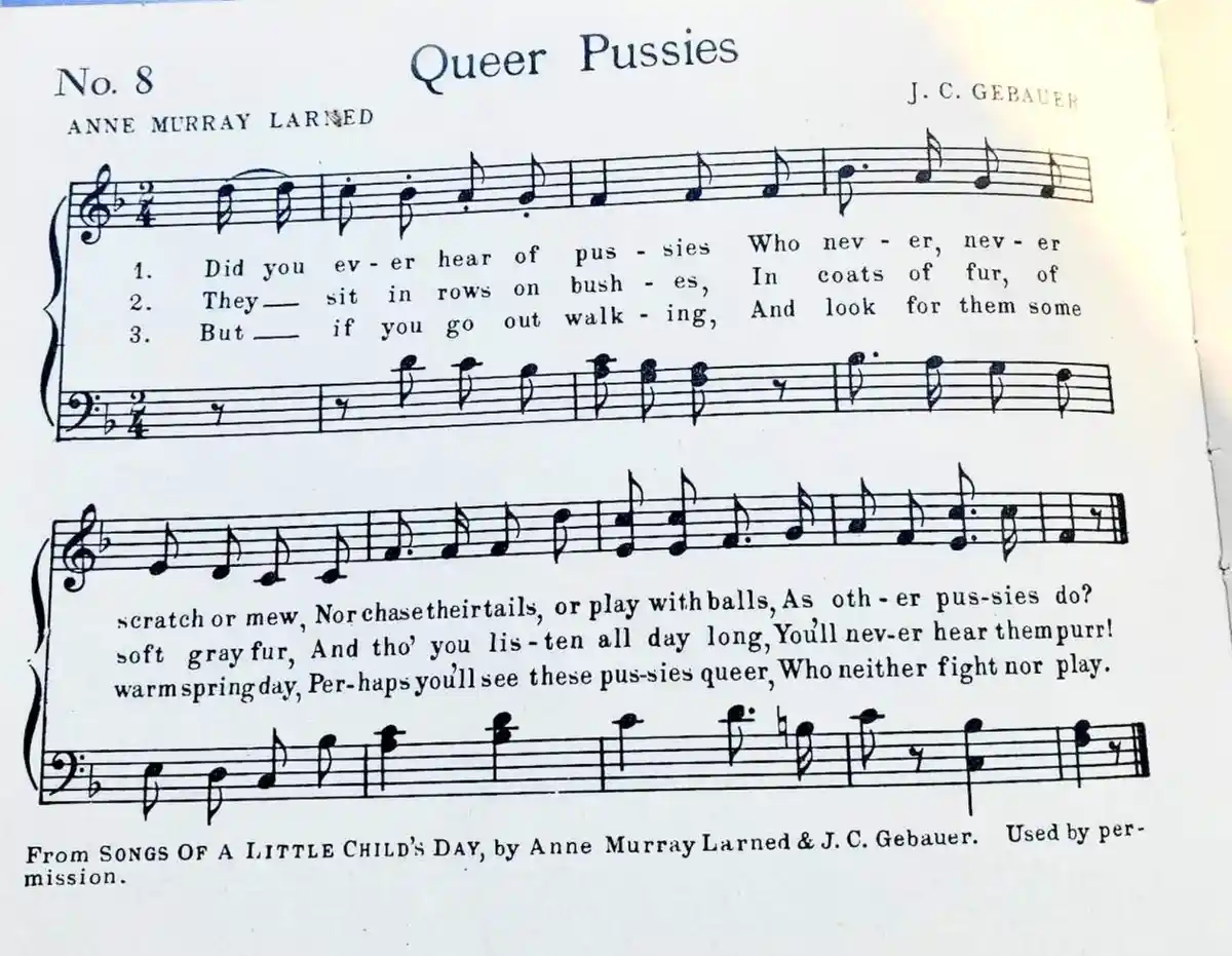 A vintage sheet music page titled 'Queer Pussies' by Anne Murray Larned and J.C. Gebauer, showing musical notation and…