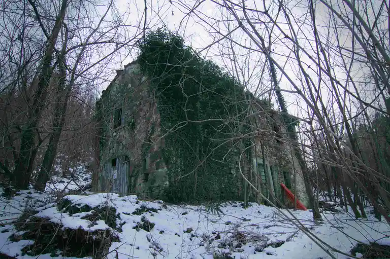 An abandoned stone building covered in ivy and surrounded by bare trees and snow, with a red plastic barrier leaning against…