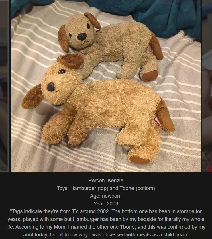 Two brown plush dog toys lie on a striped bedsheet; the one on top is labeled 'Hamburger' and the one on bottom is 'Tbone'…