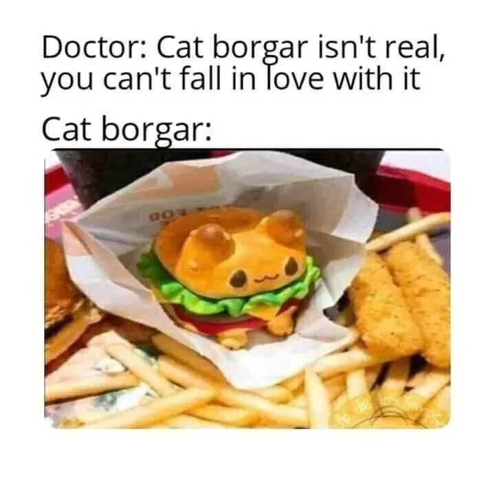 A close-up photo shows a cute, cat-shaped burger toy nestled in paper on a tray surrounded by french fries and chicken…