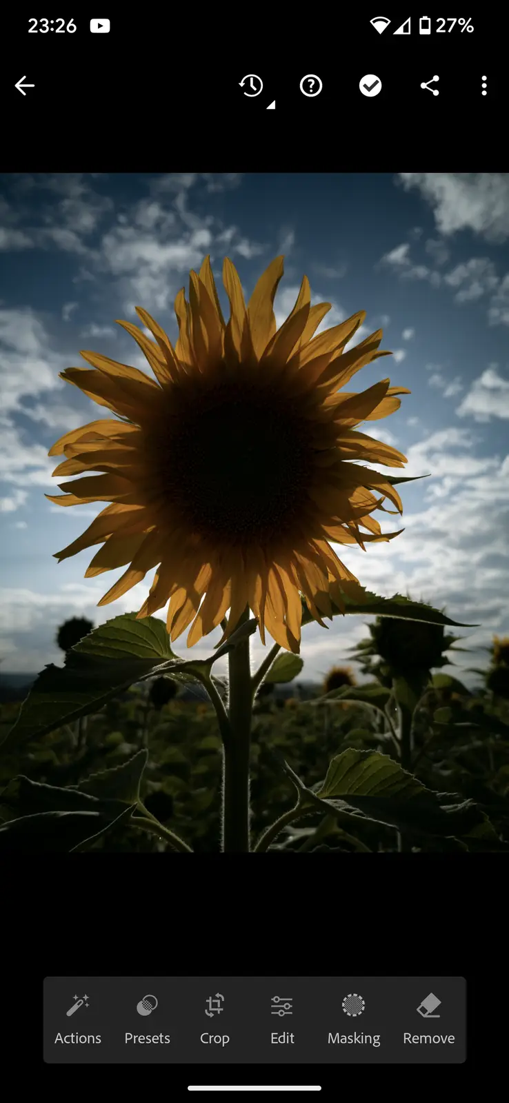 A photo of a large sunflower facing the camera against a cloudy blue sky, taken within a mobile photo editing app interface…