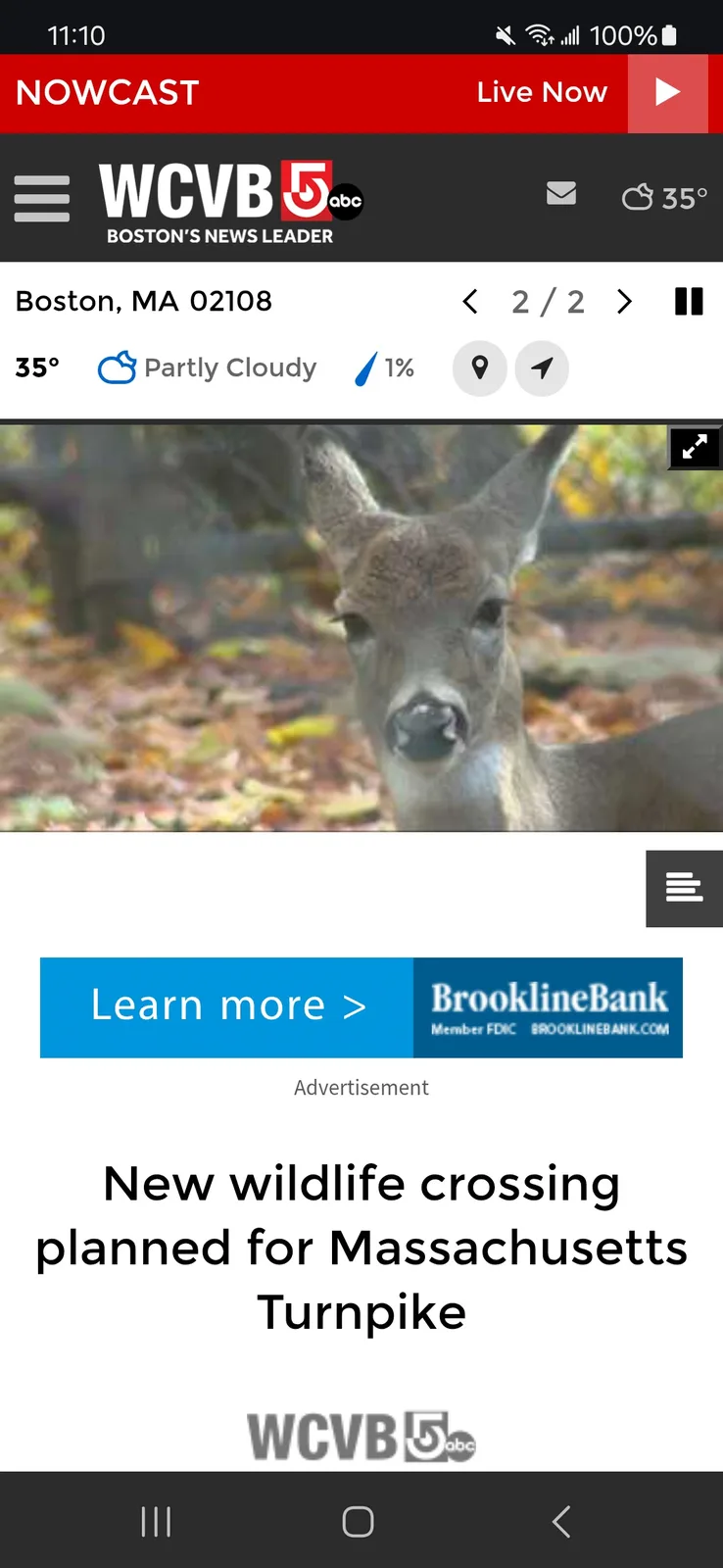 A screenshot of a WCVB 5 abc news app showing a weather forecast for Boston, MA, with a photo of a deer looking directly at…