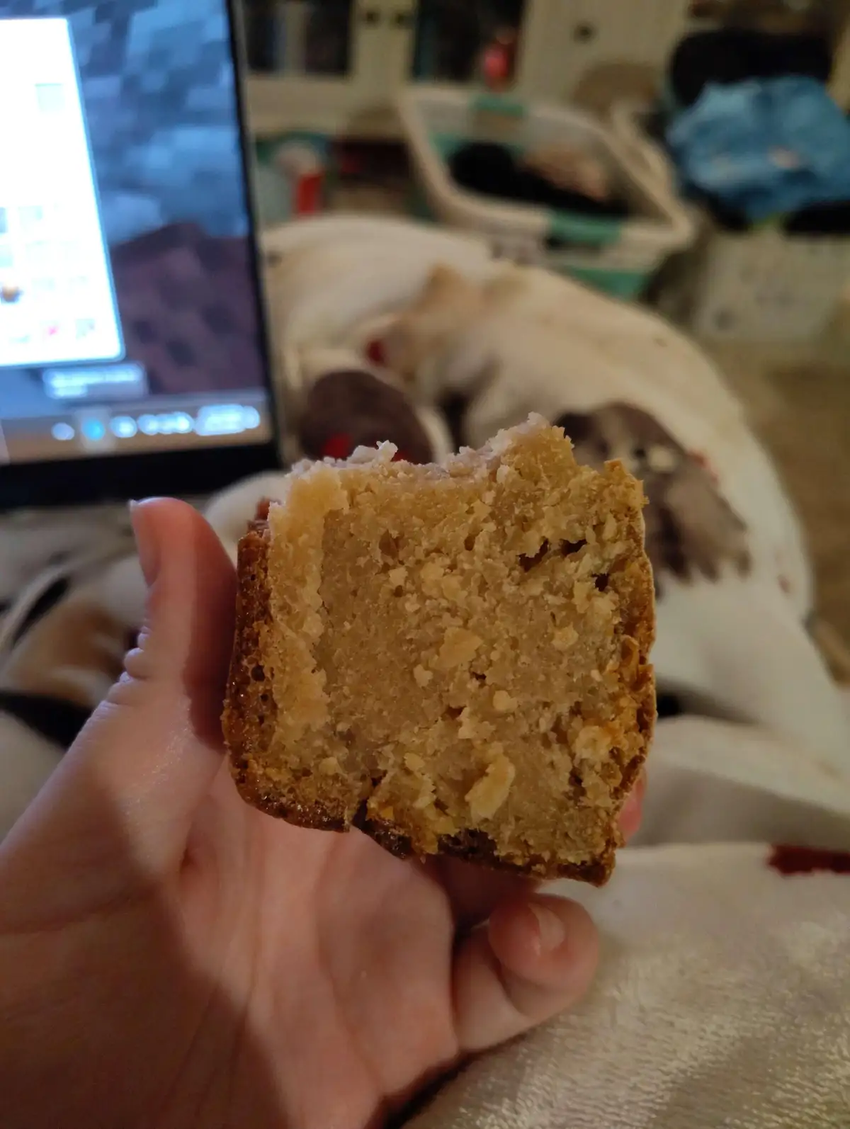 When your bread looks more like a science experiment than a loaf