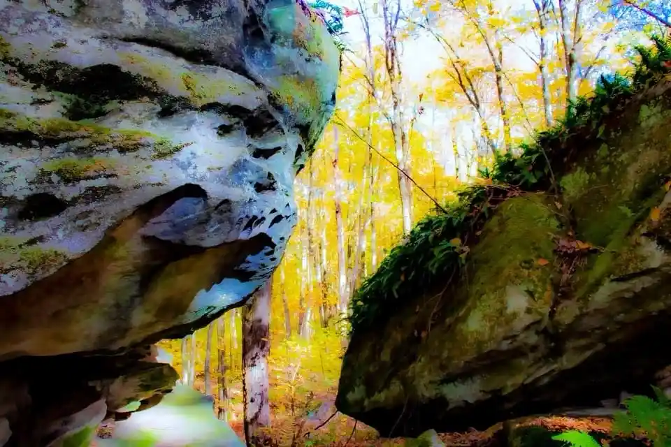 A scenic autumn forest view framed by two large, moss-covered boulders, with golden-yellow trees in the background. The…