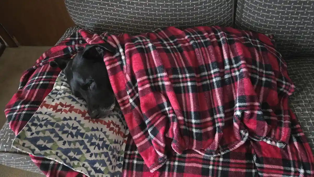 Luna's Take on the Mysterious White Stuff Falling from the Sky