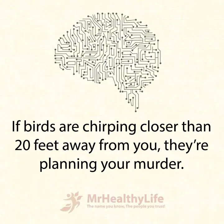 Mind-blowing mental and global facts you didn’t know you needed!