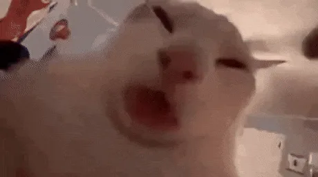 A white cat is shown in six close-up frames, its mouth opening and closing in a sequence that resembles human speech or…
