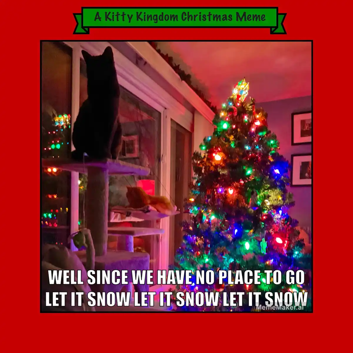 A black cat sits atop a cat tree, looking out a window, while a brightly lit Christmas tree with colorful lights stands…