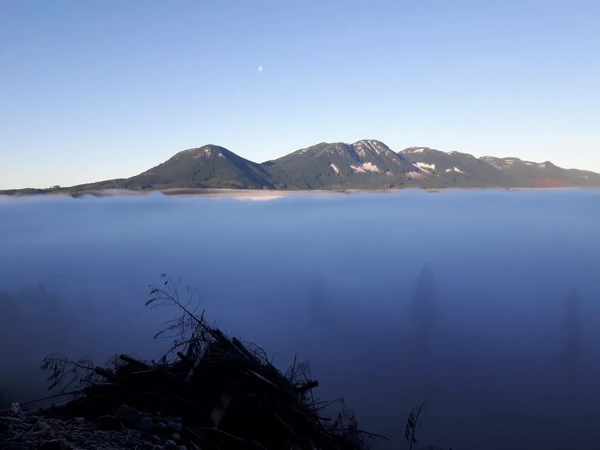 A serene landscape photo shows a mountain range partially covered by a thick layer of fog or low clouds, with a visible…