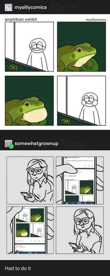 Two comic strips are shown. The top one, from 'mysillycomics', depicts a person at an 'amphibian exhibit' looking at a frog…