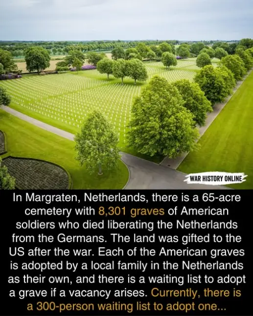 An aerial view of a vast, orderly American military cemetery in Margraten, Netherlands, filled with rows of white headstones…
