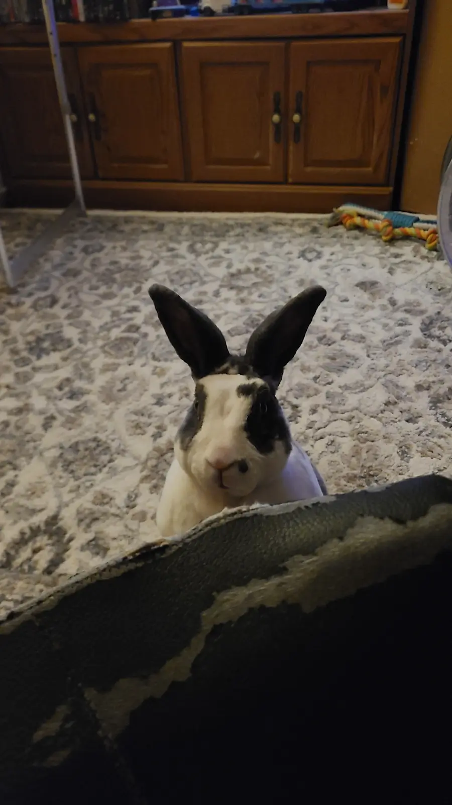 Ever Get the Feeling You're Being Watched?