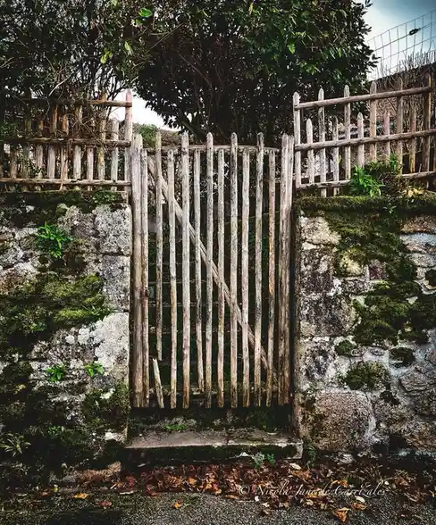 A weathered wooden gate set between moss-covered stone walls, surrounded by trees and fallen leaves, with the overlaid text…