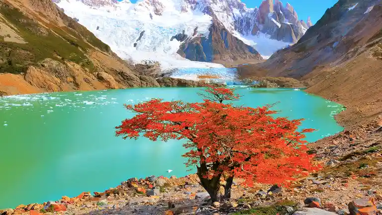 In Patagonia's Los Glaciares National Park, glaciers abound, but there's more to explore beyond the ice. This park boasts…