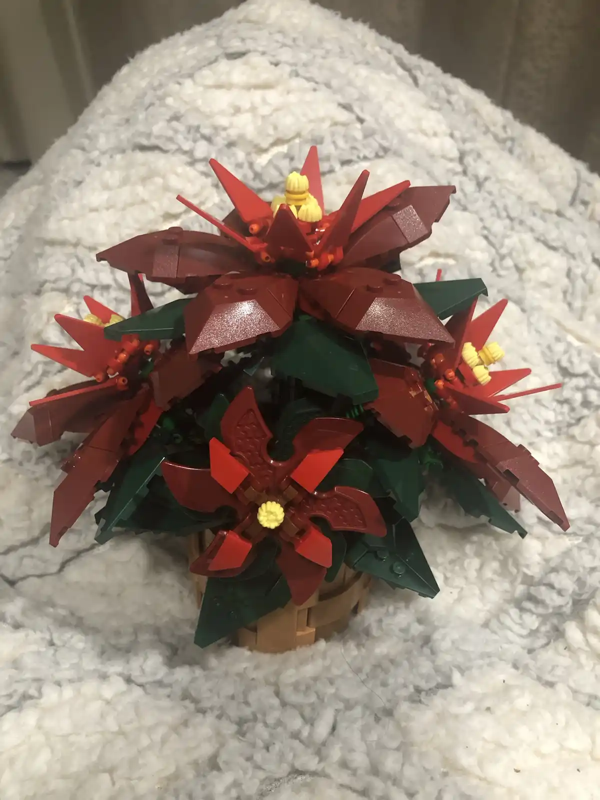 A close-up photo shows a poinsettia plant constructed entirely from red, green, and yellow Lego bricks, sitting in a brown…