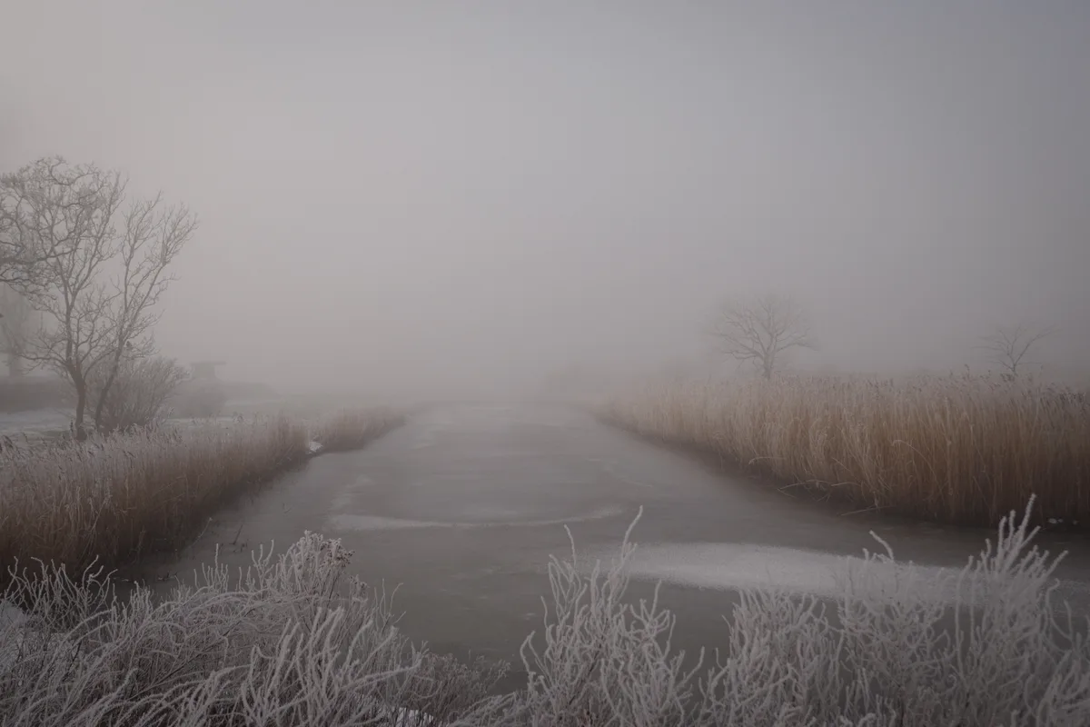 A foggy, frost-covered landscape shows a frozen, narrow waterway flanked by tall reeds and bare trees, with the overlaid…