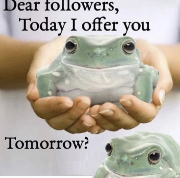 A person holds a small green frog statue in their cupped hands, with the text 'Dear followers, Today I offer you' above and…