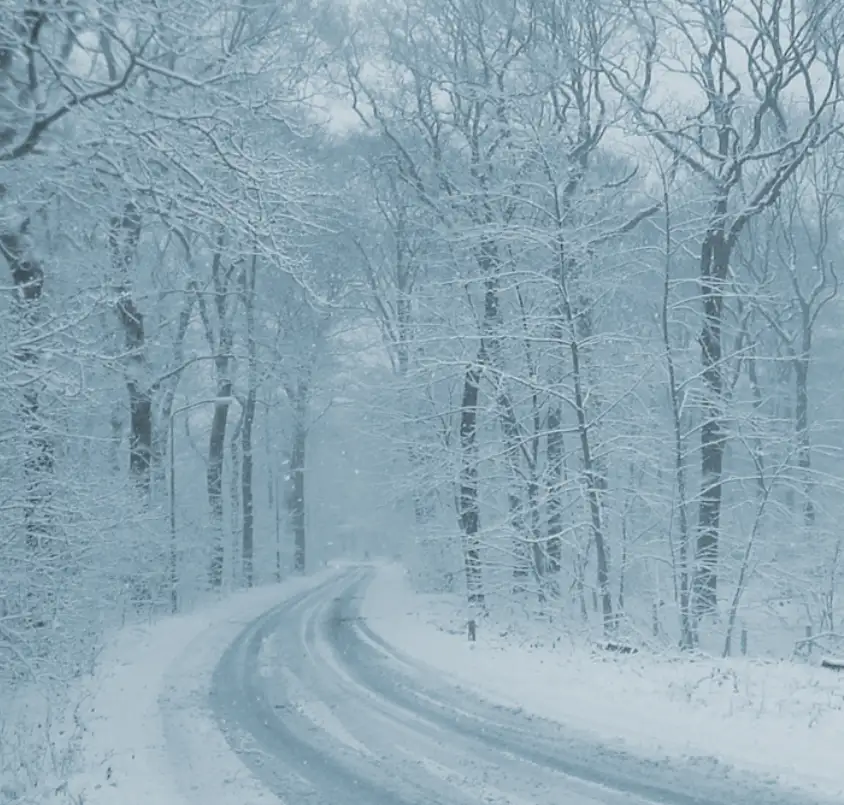 Winter Wonderland: The Season of Frost