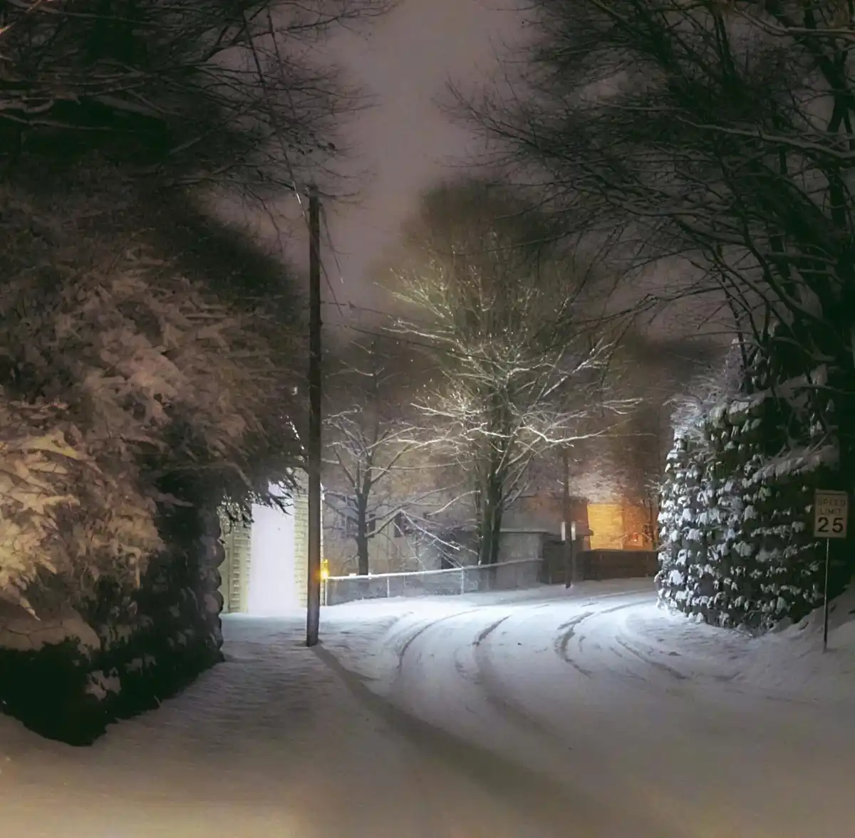 A tranquil snowy night scene