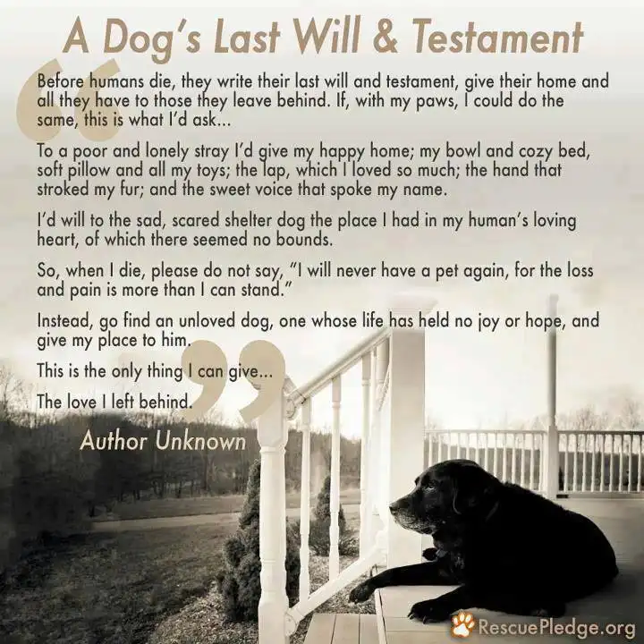 A black dog sits on a porch railing, looking pensively into the distance, overlaid with a text titled 'A Dog's Last Will &…