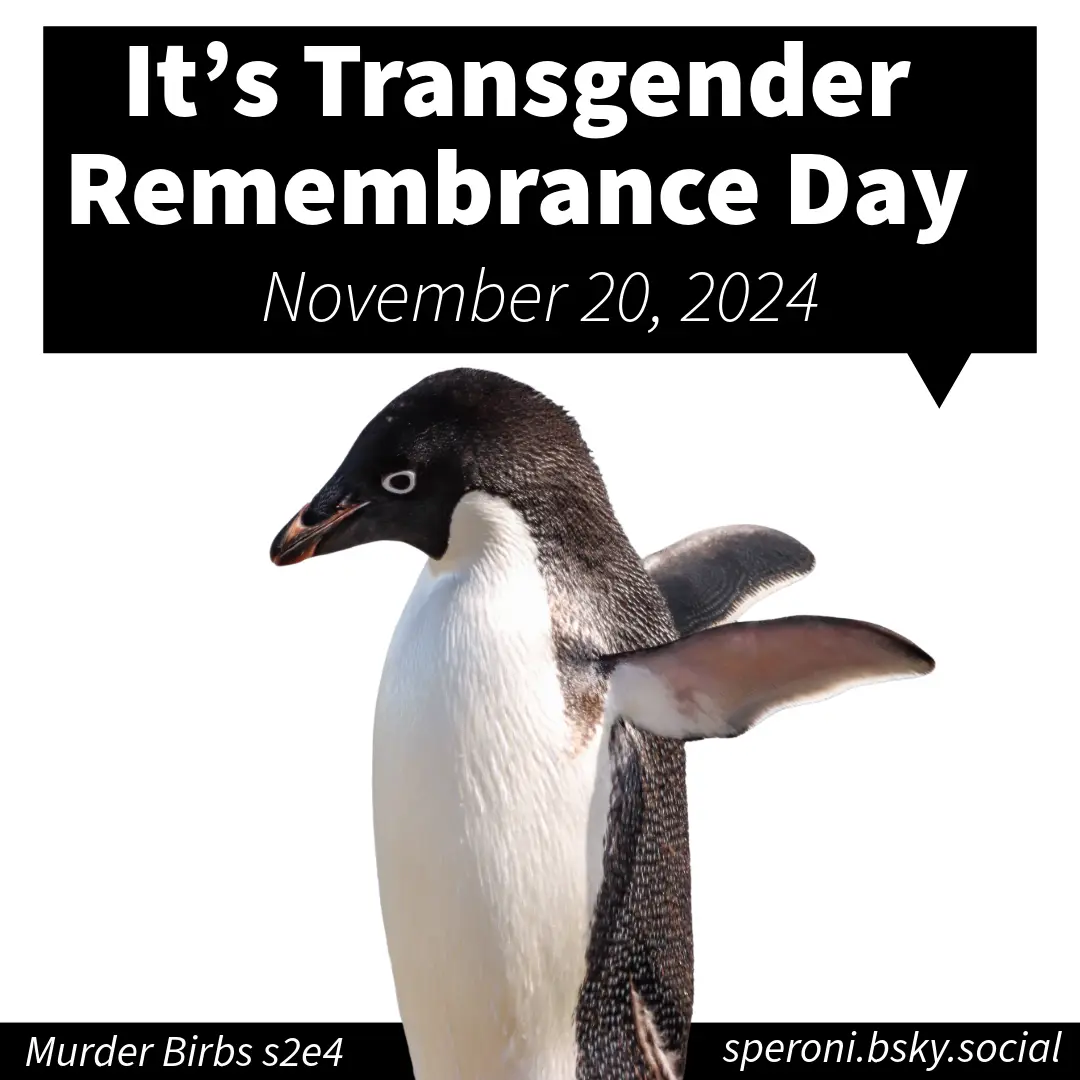 A penguin with its wings spread out in a pose resembling a person's arms, overlaid with a black speech bubble containing the…