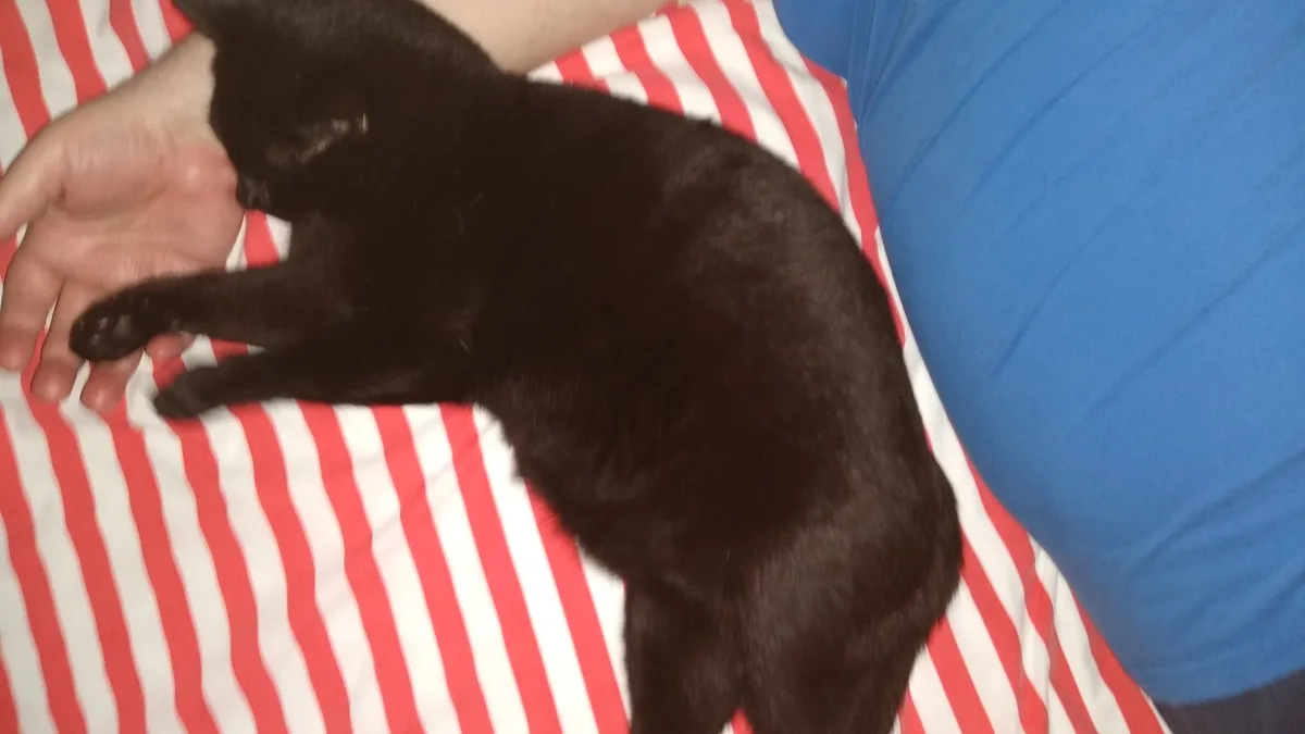 He Insists on Hand-Holding During Naptime: A Sweet Gesture