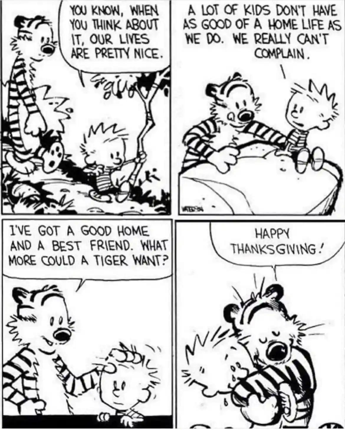 This four-panel Calvin and Hobbes comic strip shows Calvin and Hobbes reflecting on their fortunate lives. Calvin, a young…