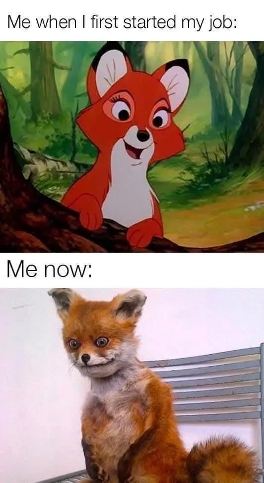 The meme features two images of foxes. The top image shows a cheerful, animated red fox with large eyes and a wide smile…
