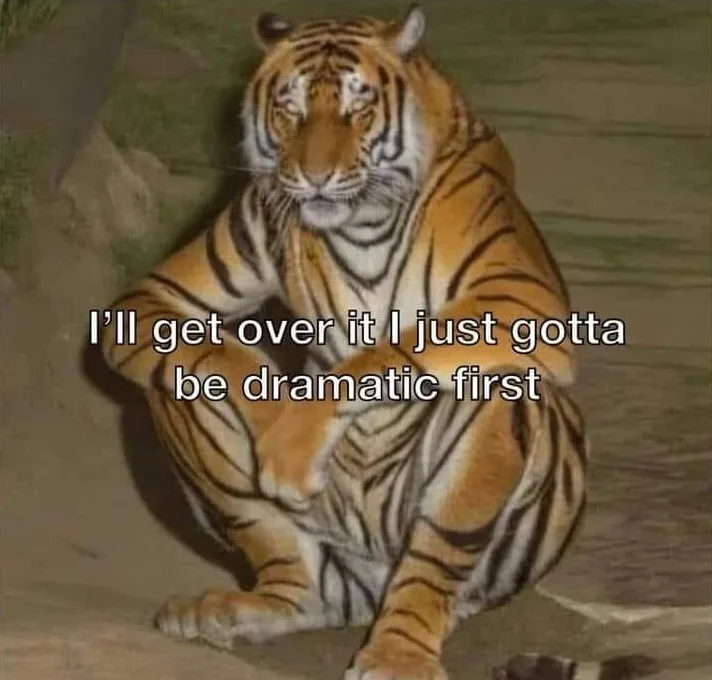 A tiger is sitting in a crouched, pensive pose with a melancholic expression, overlaid with the text 'I'll get over it I…