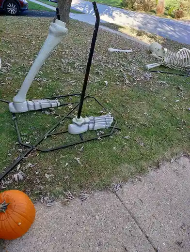 A disassembled Halloween skeleton decoration lies on a grassy lawn scattered with fallen leaves, with its legs and torso…