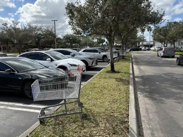 A shopping cart is parked on the grass beside a paved parking lot aisle, with several cars parked in adjacent spots under a…