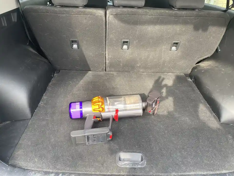 The Epic Battle Against Dog Hair in My Car
